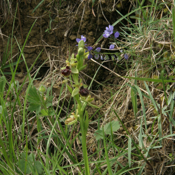 img_4836